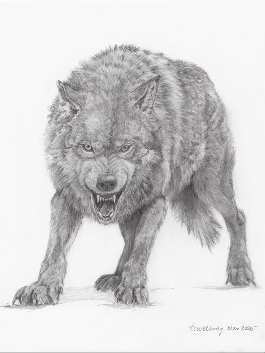 " Fury Unleashed " Graphite Pencil Print