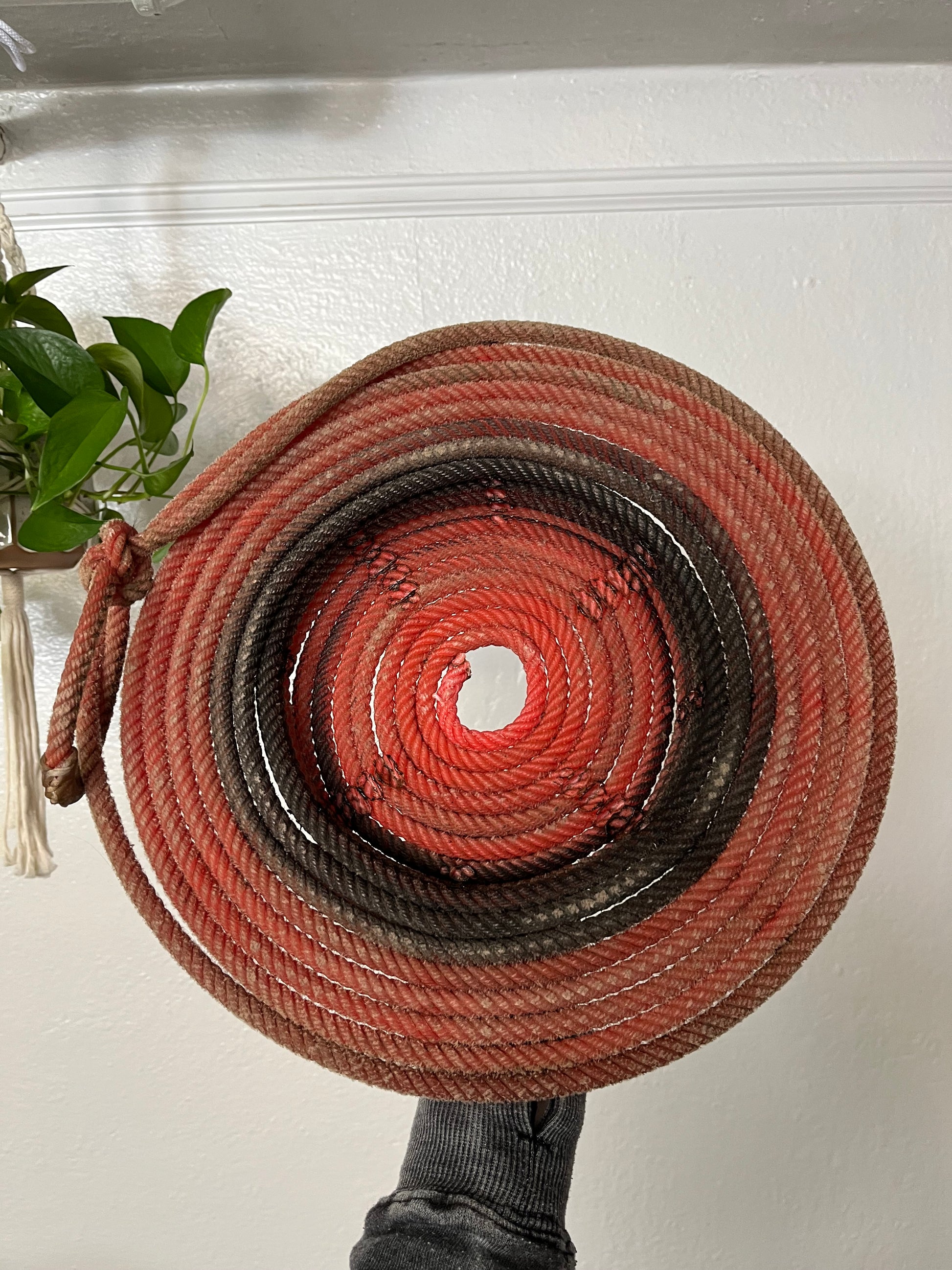 Red Brimmed Rope Basket Artist: Aleah Russell  Repurposed lariat rope  Rope came from an authentic Wyoming ranch  Shallow rope basket with wide brim  Will add a touch of country to any home  Would make a nice fruit basket  Add a bowl inside for holding small items  14.5" long x 13.5" high x 3" wide