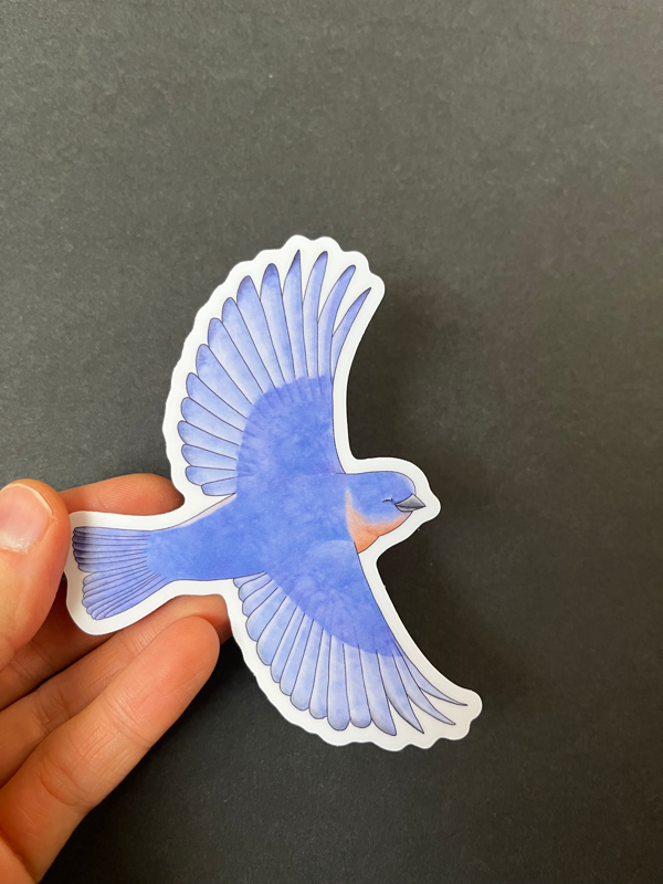 Sticker- Bluebird
