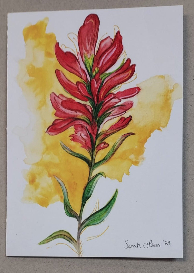 " Indian Paintbrush " Watercolor Art