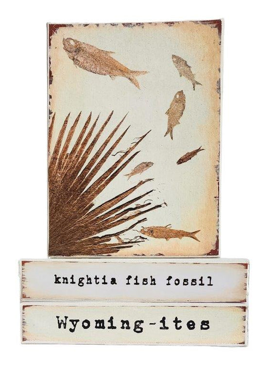 " Kightia Fish Fossil Wyoming-ites" Canvas Print