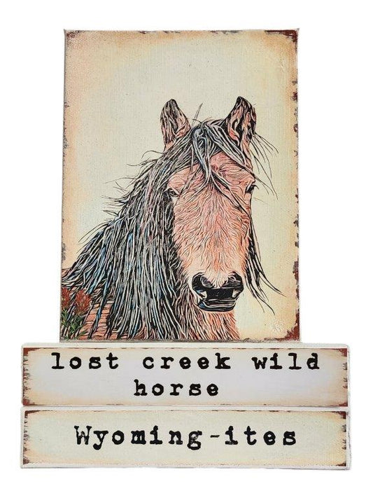 " Lost Creek Wild Horse Wyoming-ites" Canvas Print