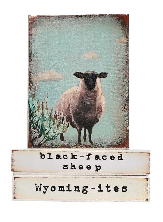 " Sheep Wyoming-ites" Canvas Print