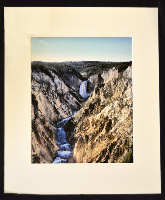 " Pride of Yellowstone " Matted Luster Print
