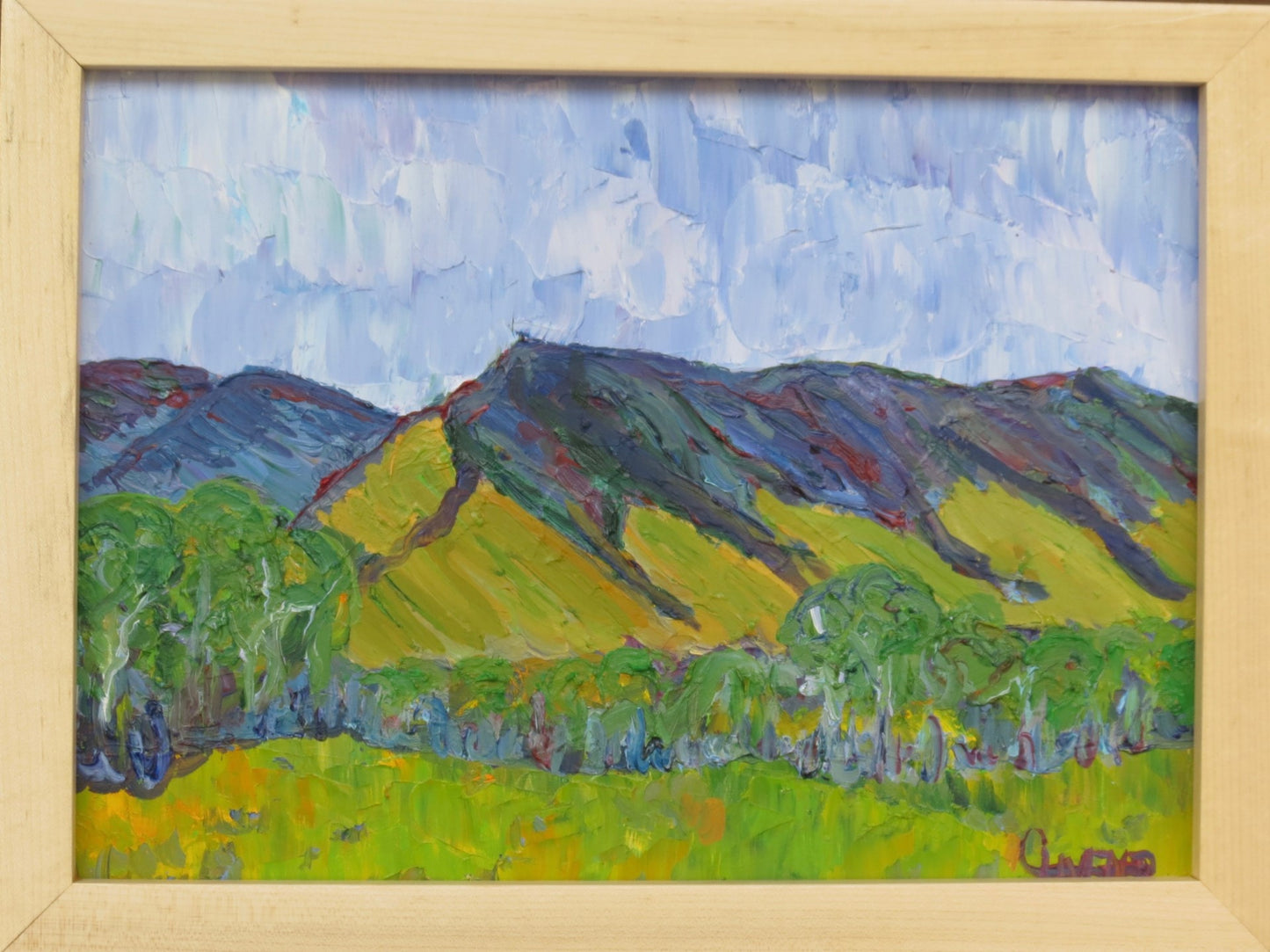 " Lindzey's Meadow " Framed Original Oil Painting Artist: Celeste Havener Original Oil Painting Hay meadow below the mountains near Centennial Wyoming Summertime green with a blue sky above Painted on Baltic Birch board Framed in a pine frame 13" long x 10" high painting 14" long x 11" high as framed Eye bolt and wire on back for hanging Perfect for a family room