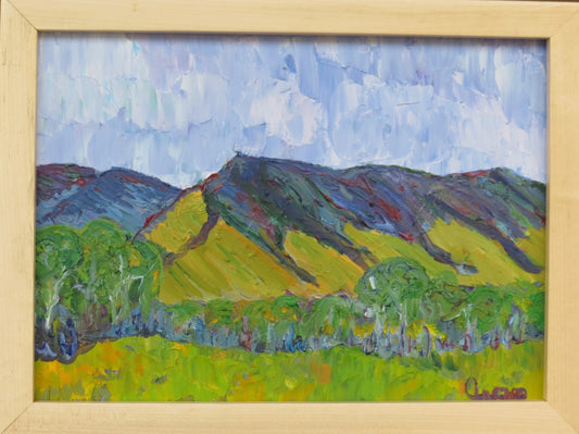 " Lindzey's Meadow " Framed Original Oil Painting Artist: Celeste Havener Original Oil Painting  Hay meadow below the mountains near Centennial Wyoming  Summertime green with a blue sky above  Painted on Baltic Birch board  Framed in a pine frame  13" long x 10" high painting  14" long x 11" high as framed  Eye bolt and wire on back for hanging  Perfect for a family room