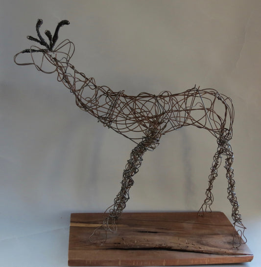 " Percy the Pronghorn " Wire Sculpture Artist: Celeste Havener Wire Pronghorn Sculpture  Repurposed wire hand sculpted into a Wyoming Pronghorn  Attached to a walnut wood base  20" long x 22" high x 9" wide
