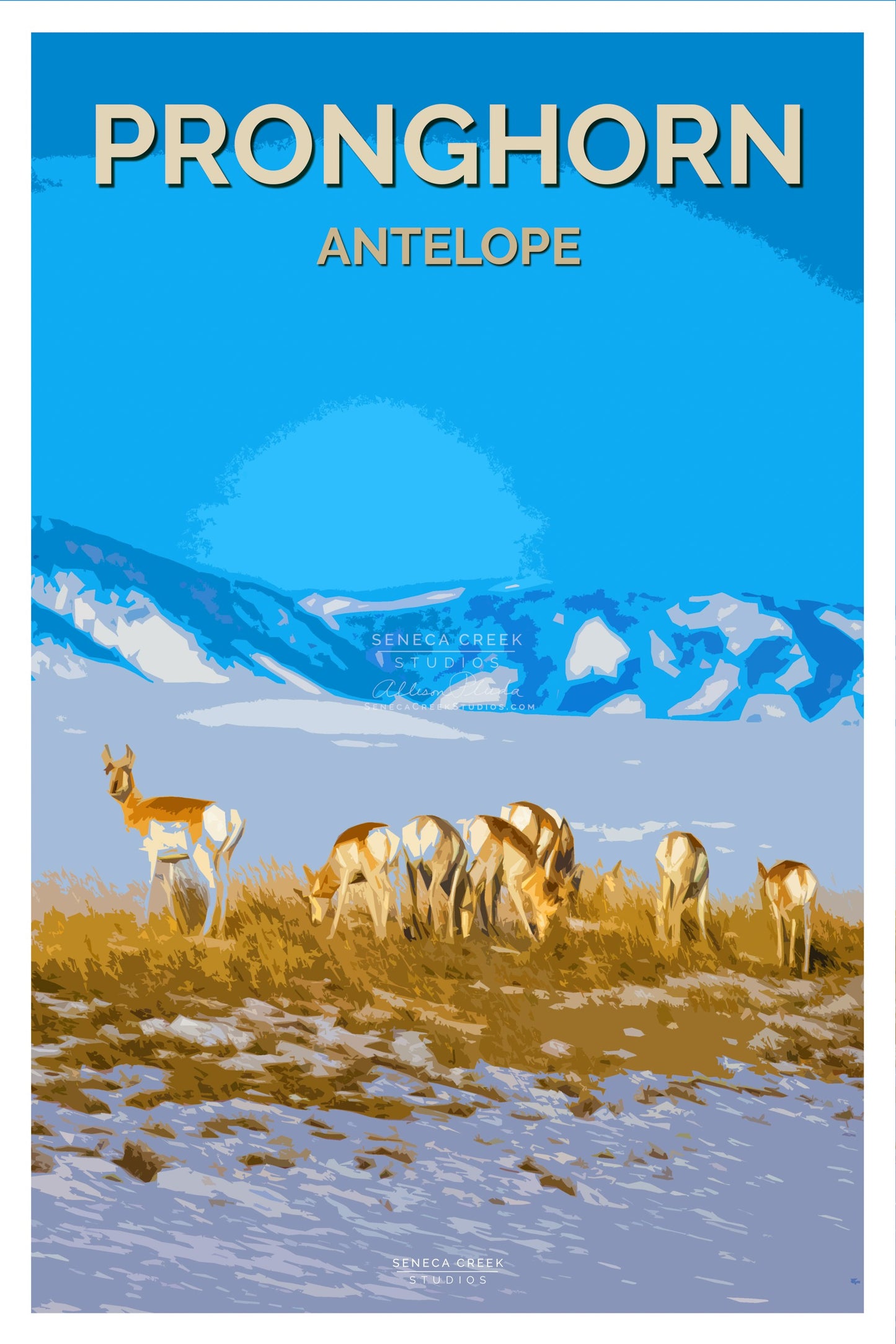Pronghorn Poster