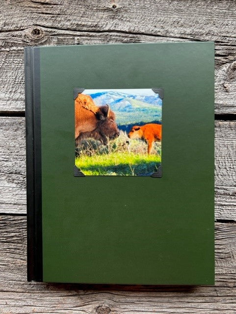 Hardcover forest green sketchbook with black binding Photograph of a bison cow and her calf with mountains in the background attached to the cover Blank pages for sketching Perfect for artists or anyone who likes to sketch 9" long x 11" high x 1 1/4" wide