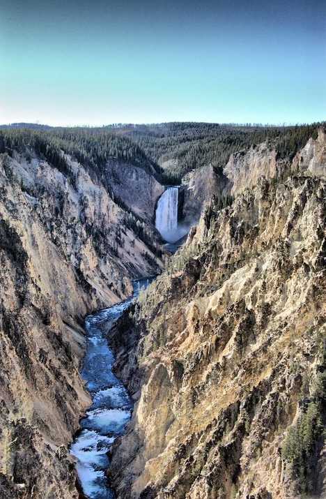 Matted Photo Print- "Pride of Yellowstone"