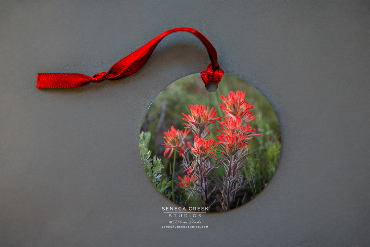 Indian Paintbrush Metal Print Ornament