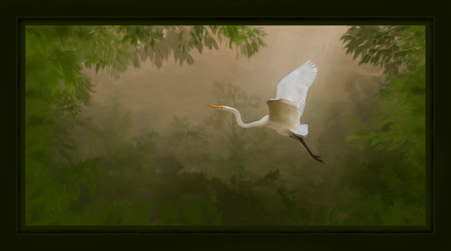 " Forest Aeronautics " White Bird In Flight Photograph