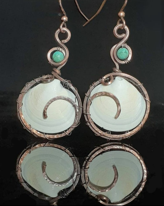 Earrings - Sea Shell