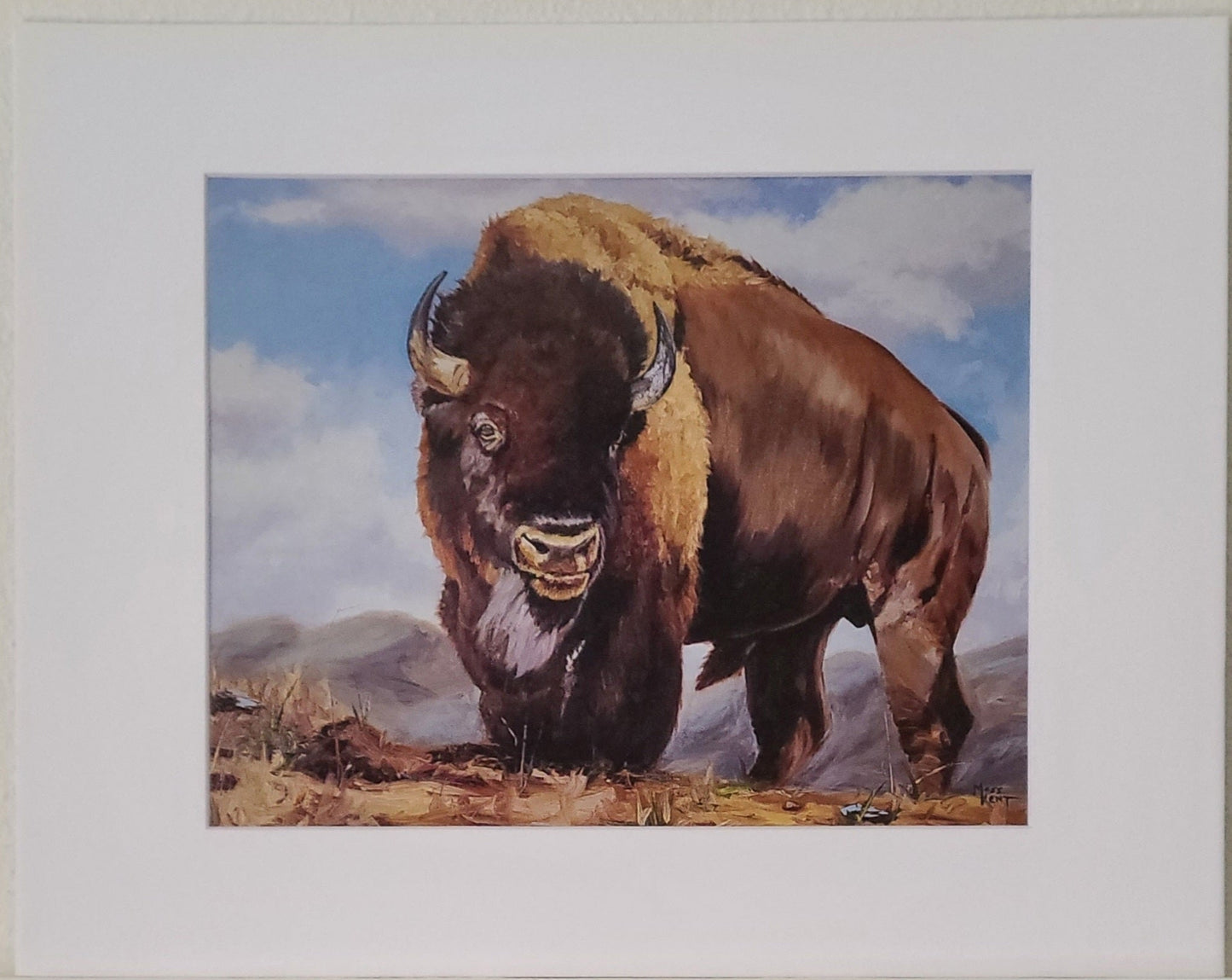 Matted Print- "Lord Of The Plains" Single Bull Bison