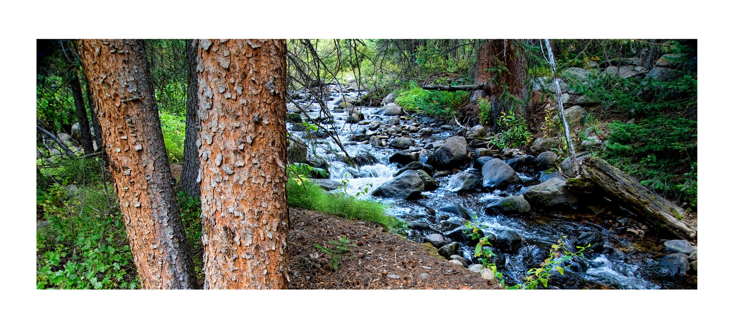 North Fork Of Little Laramie River