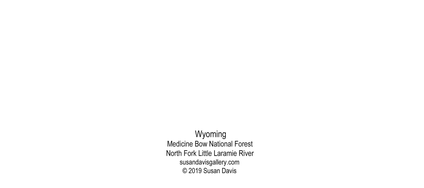 North Fork Of Little Laramie River