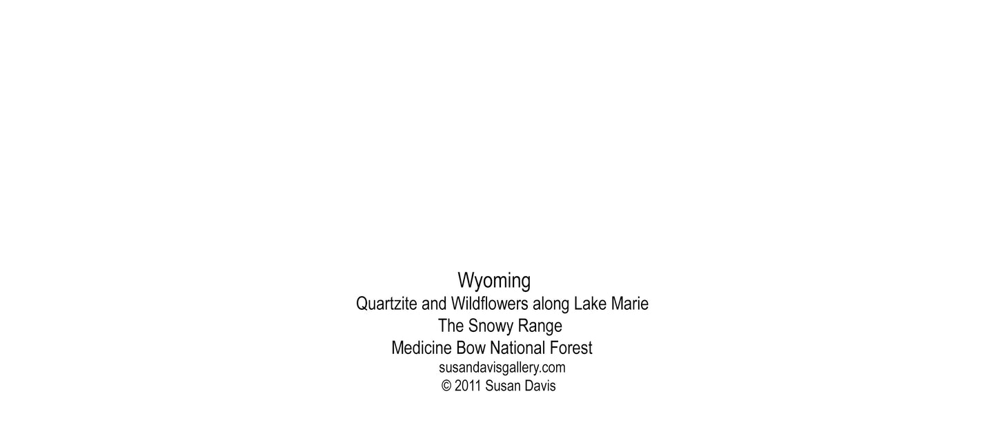 " Quartzite And Wildflowers Along Lake Marie " Panoramic Card