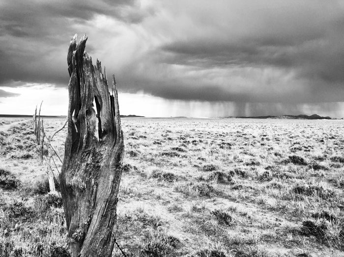 " Weathered " Photograph On Metal Artist: Casey Hanson Black and White photograph Weathered barbed wire fence and posts with a storm in the background Metal print Wire for hanging 24" long x 16" high
