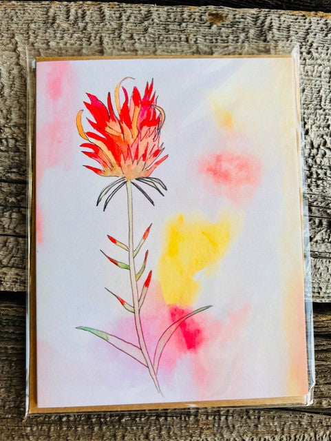 Indian Paintbrush Greeting Cards