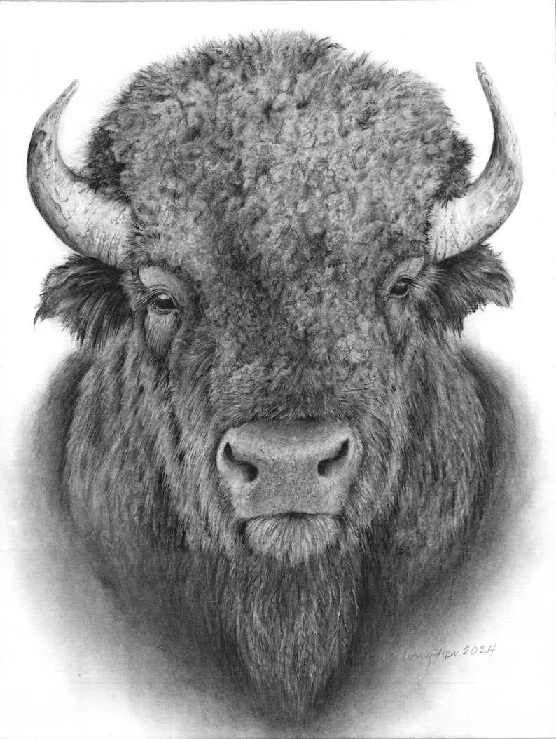 Drawing and Illustration Prints