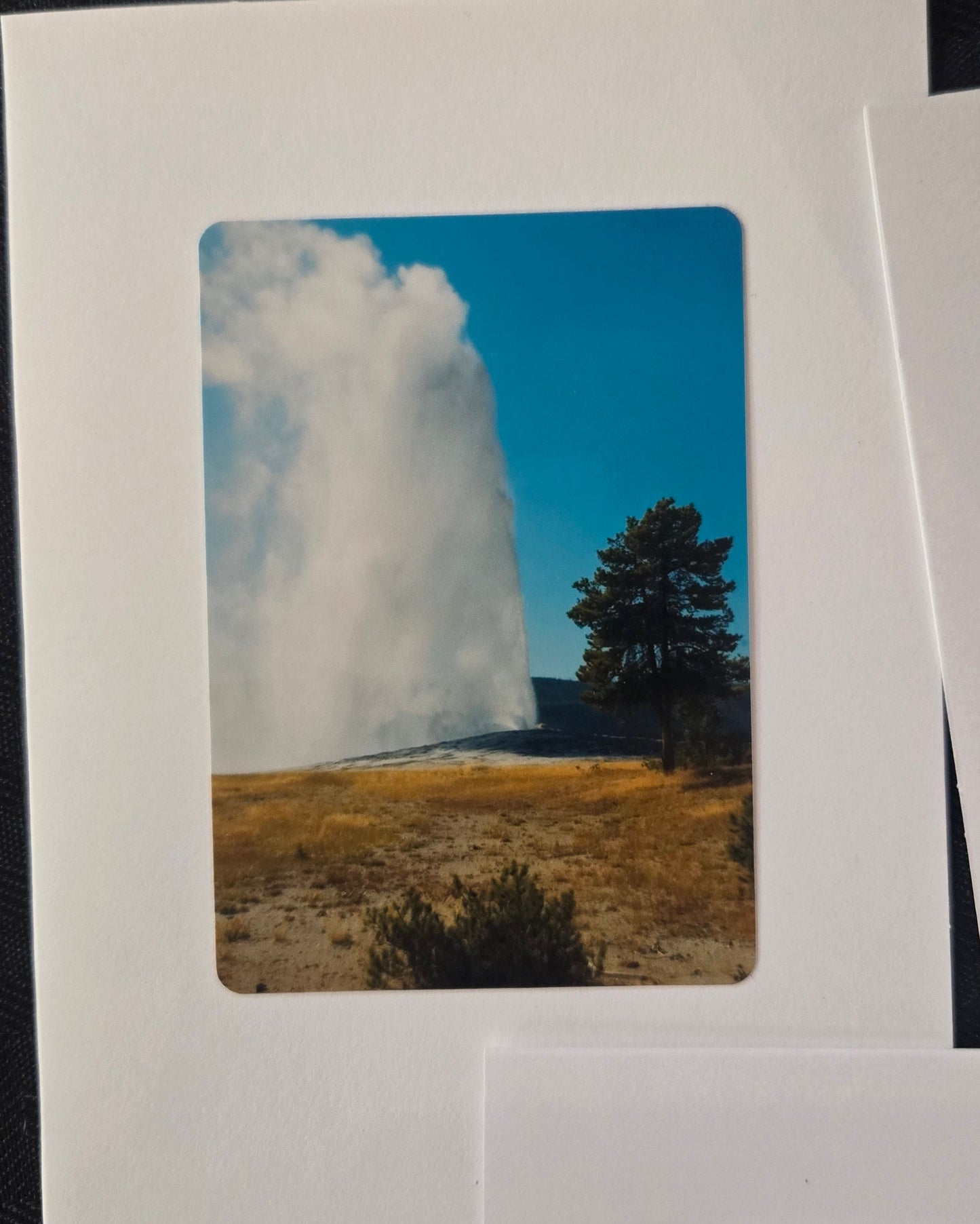 Greeting Card 5 Pack- Variety Yellowstone National Park Photos