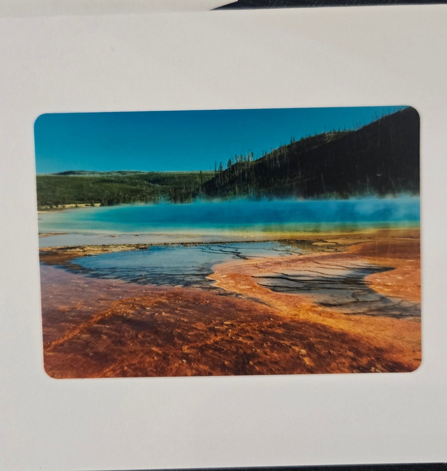 Greeting Card 5 Pack- Variety Yellowstone National Park Photos