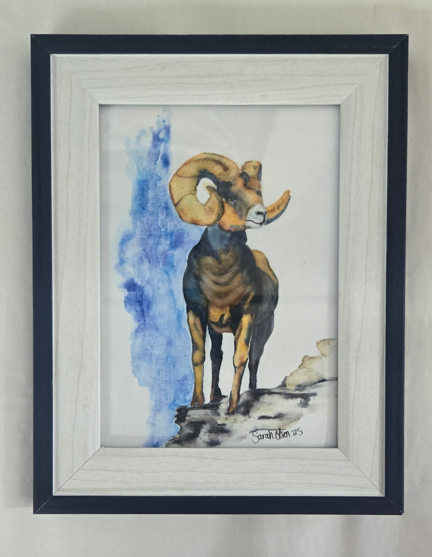 Watercolor Print- "Big Horn Sheep"