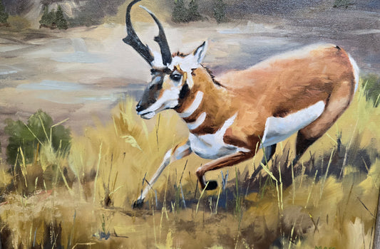 Original Framed Oil Painting- "Running Free" Pronghorn