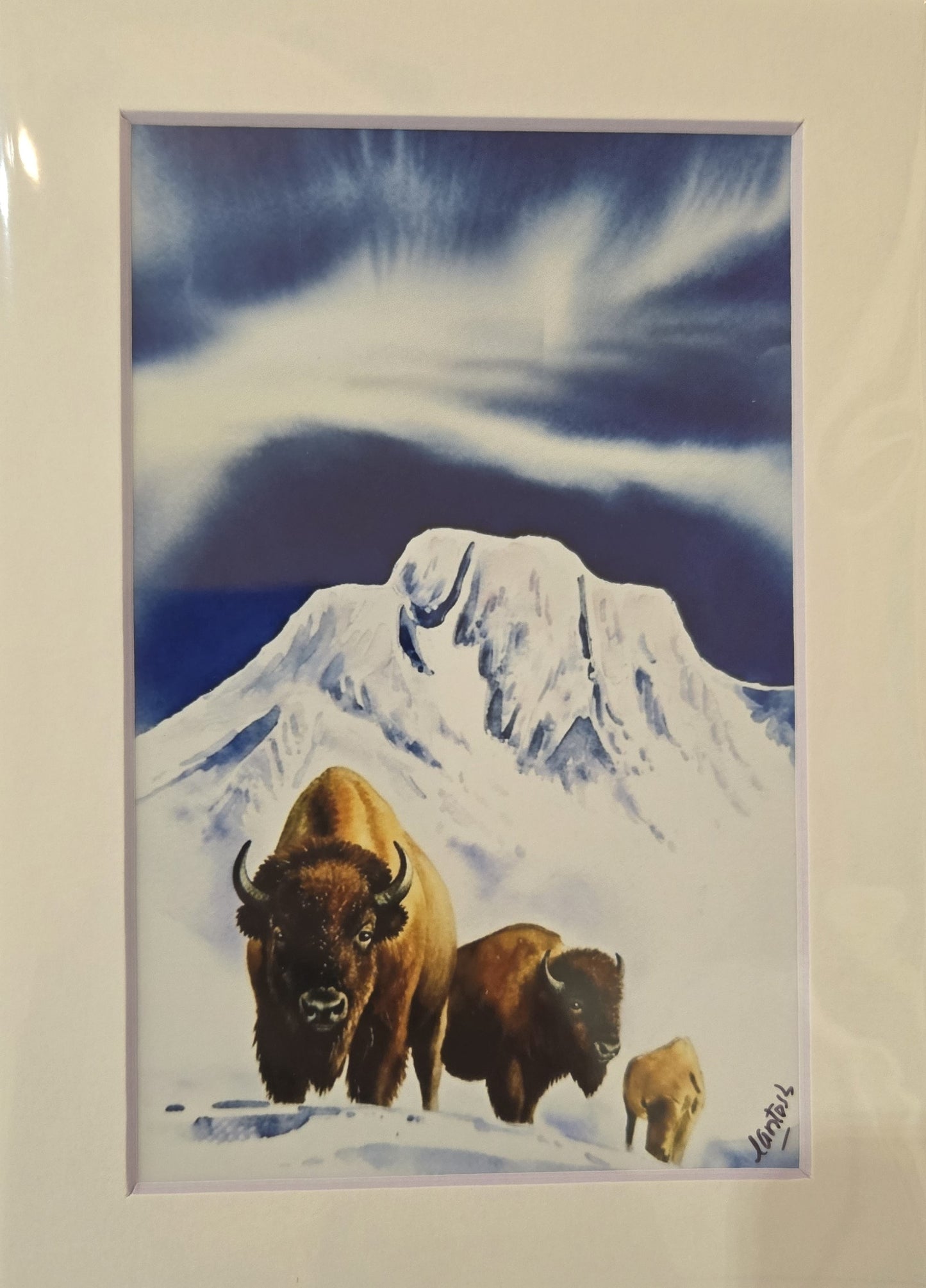 Matted Prints - Assorted Bison -4x6