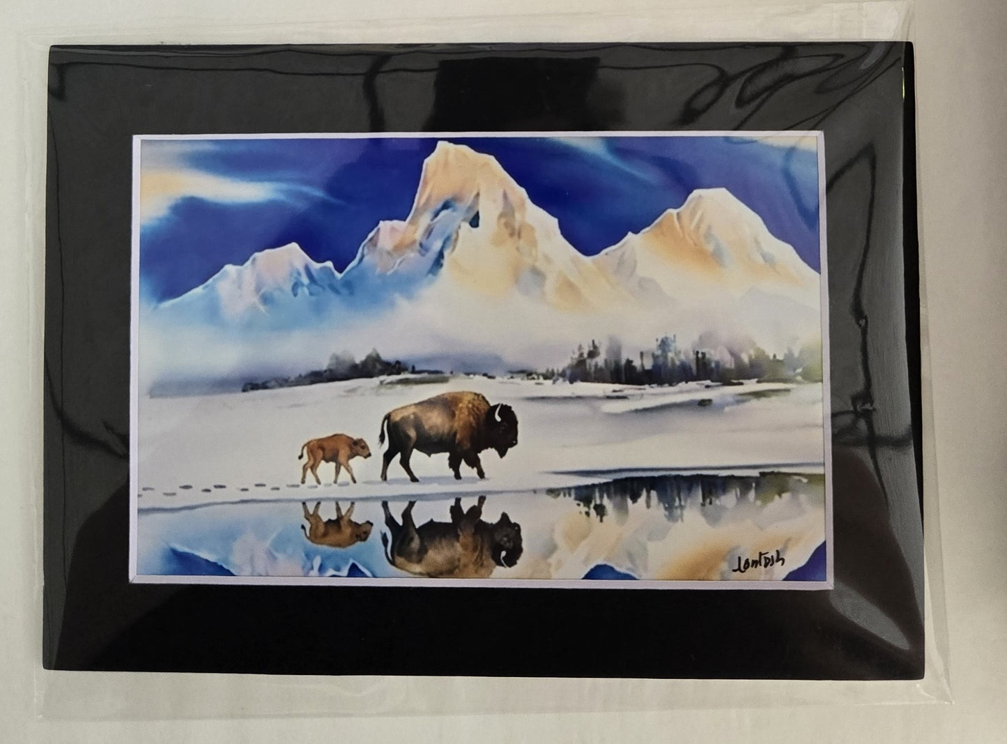 Matted Prints - Assorted Bison -4x6