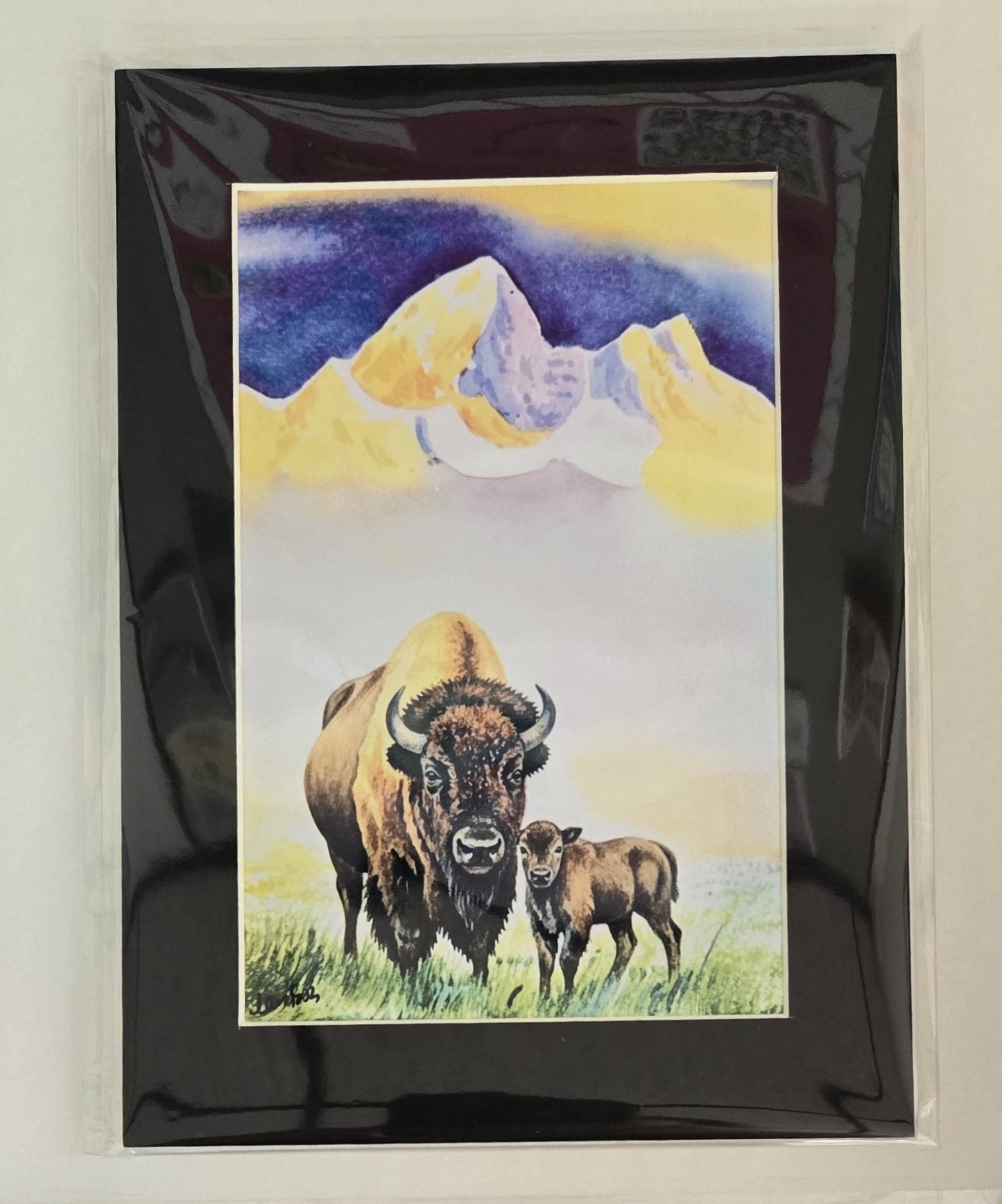 Matted Prints - Assorted Bison -4x6