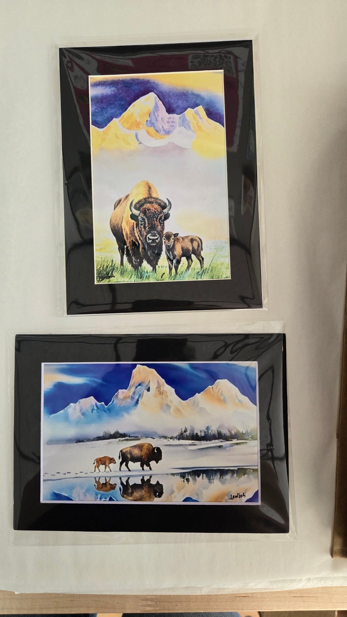 Matted Prints - Assorted Bison -4x6