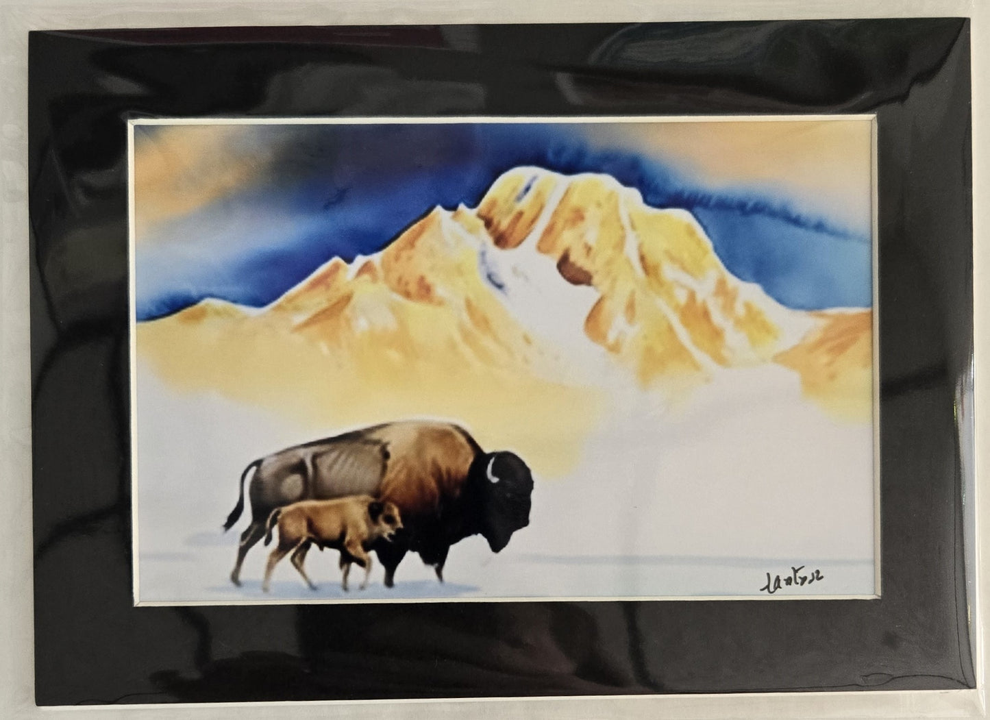 Matted Prints - Assorted Bison -4x6