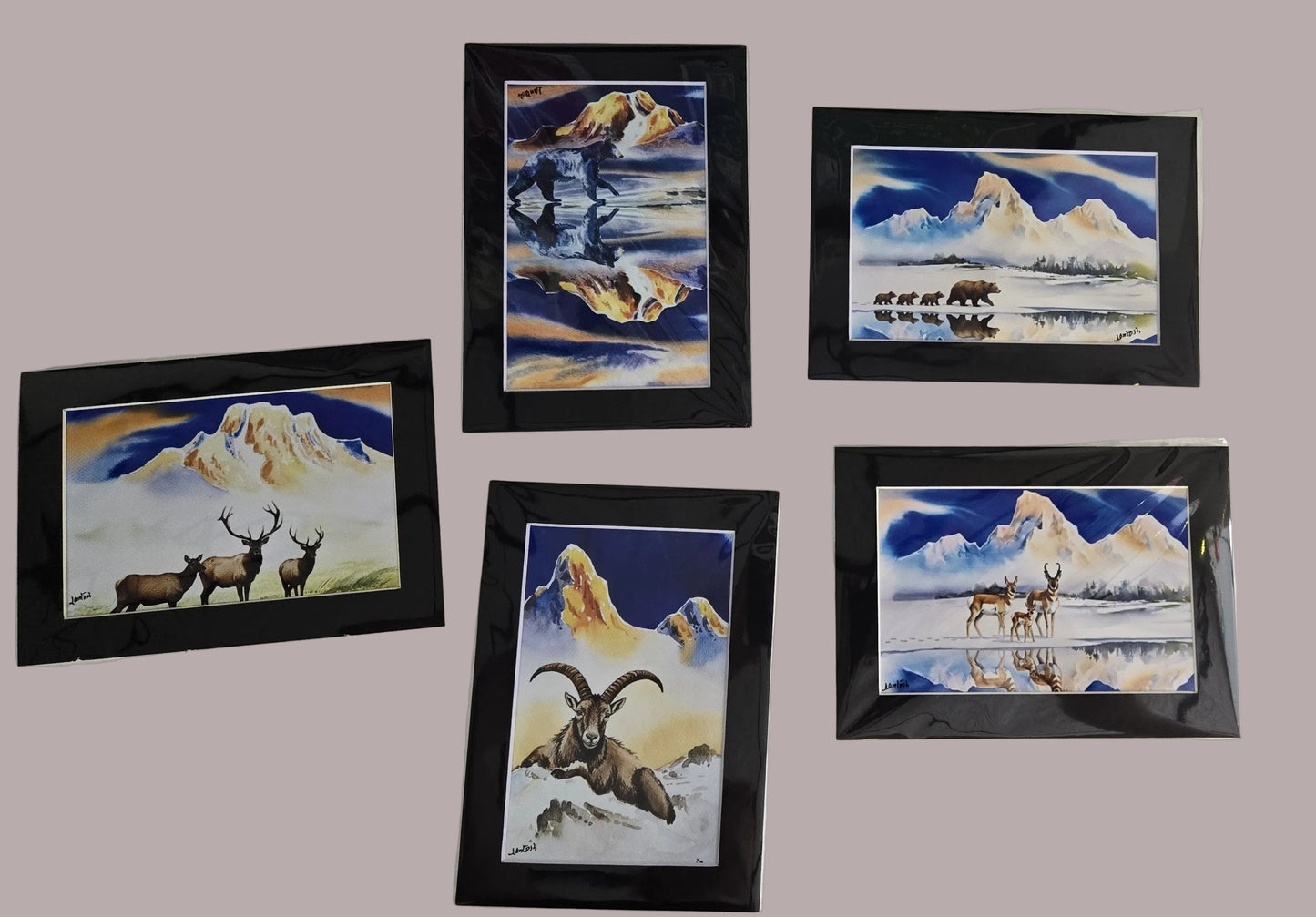 Matted Prints - Assorted Wildlife - 4x6