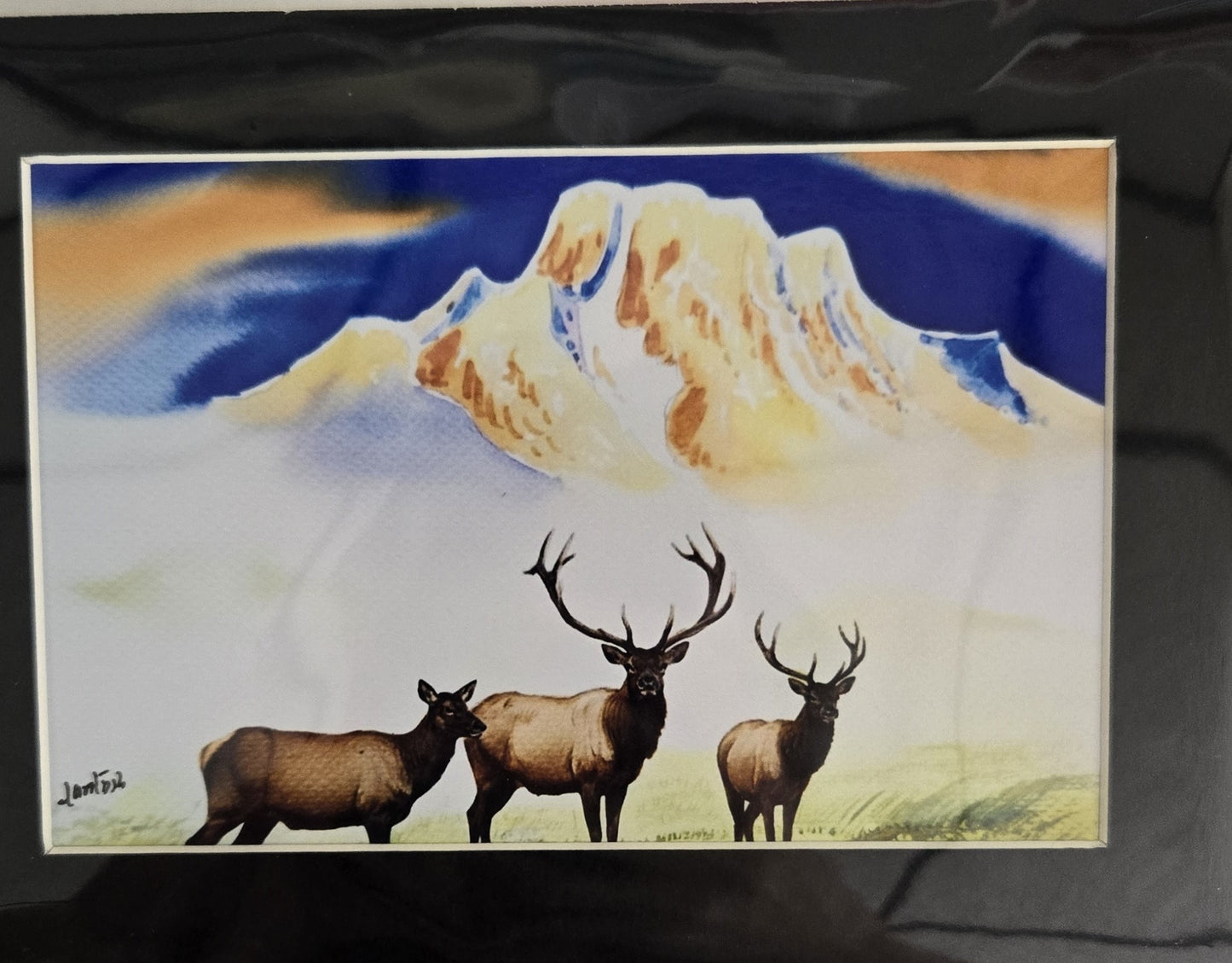 Matted Prints - Assorted Wildlife - 4x6