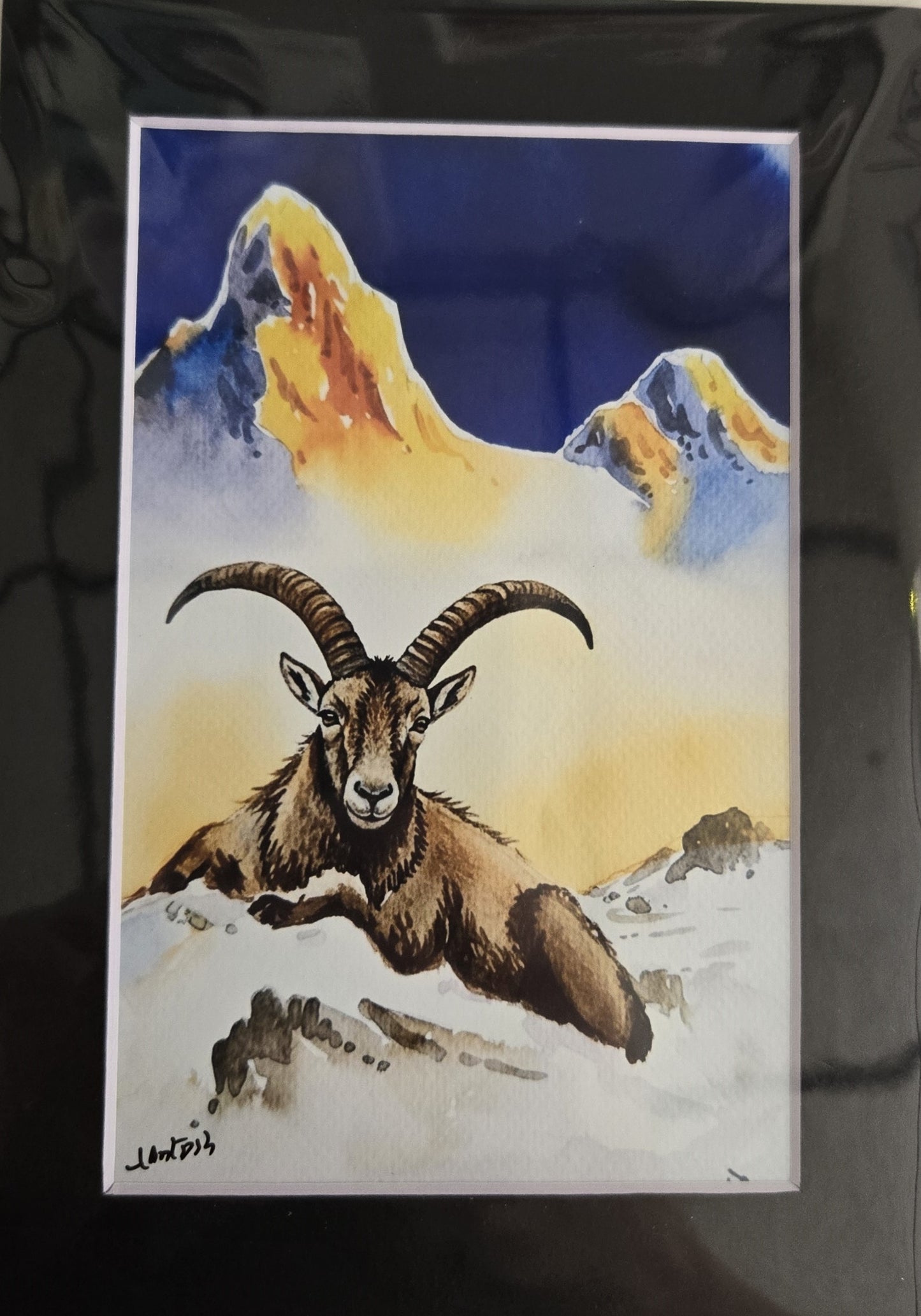 Matted Prints - Assorted Wildlife - 4x6