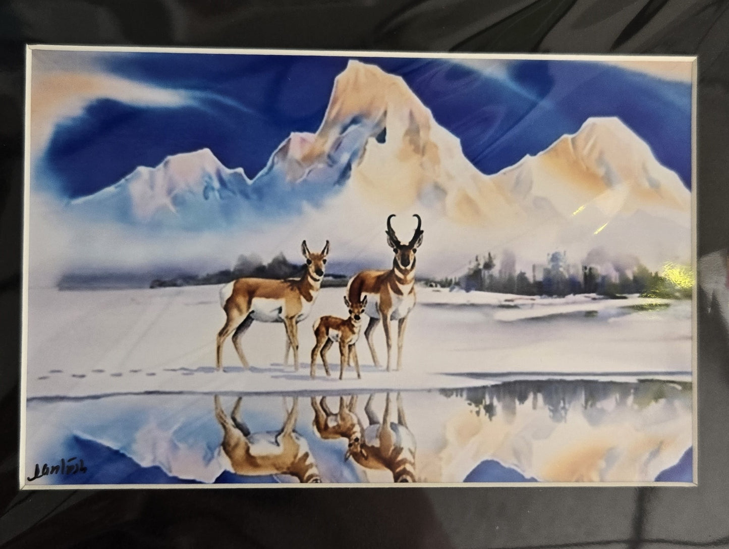 Matted Prints - Assorted Wildlife - 4x6