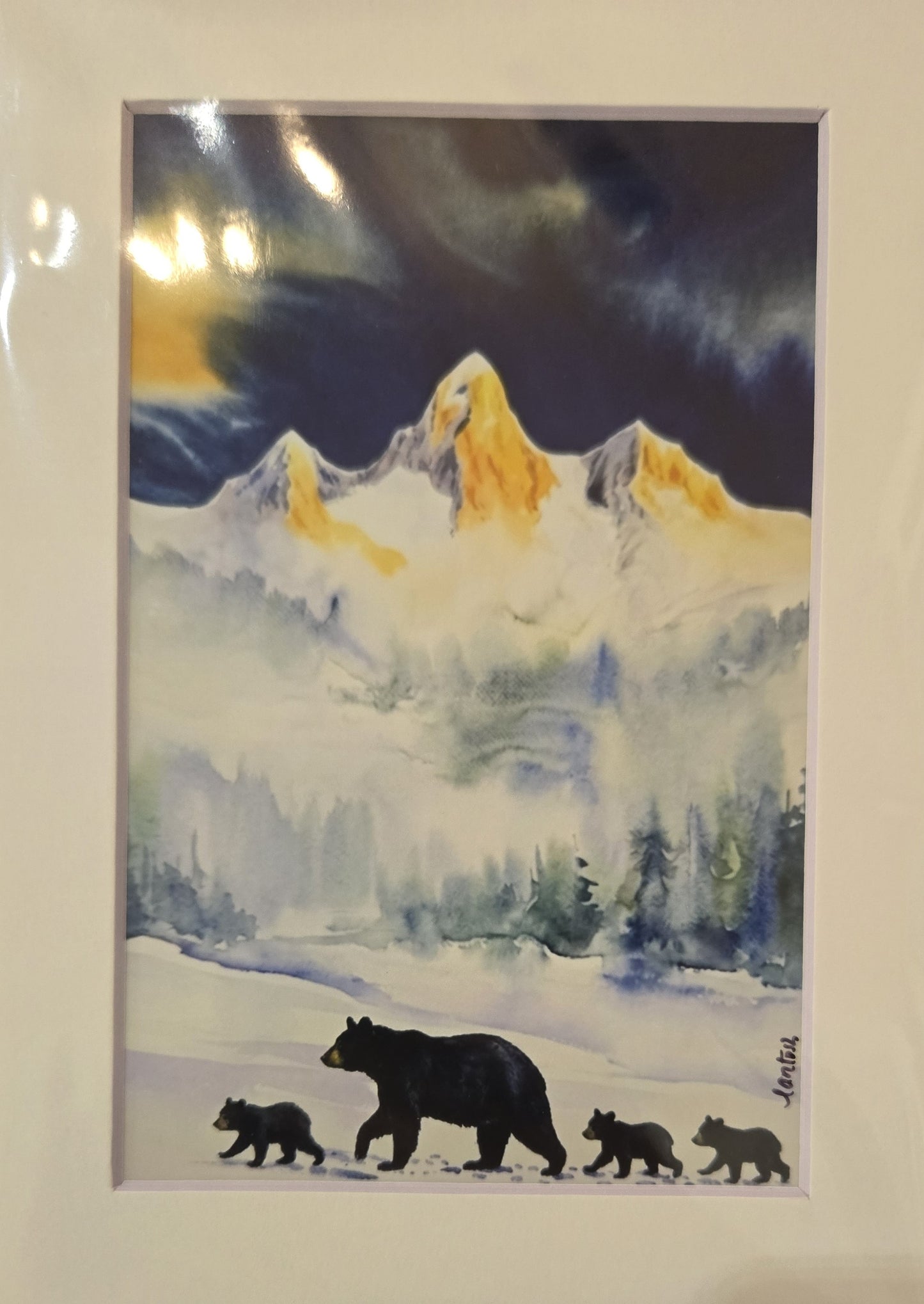 Matted Prints - Assorted Wildlife - 4x6