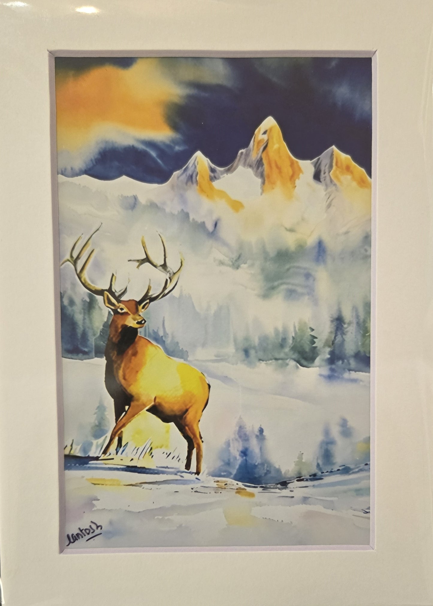 Matted Prints - Assorted Wildlife - 4x6