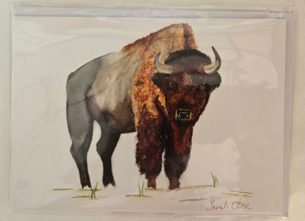 Watercolor Print- "A Bison Portrait"