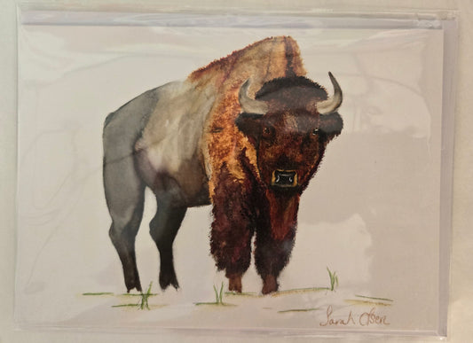 Watercolor Print- "A Bison Portrait"