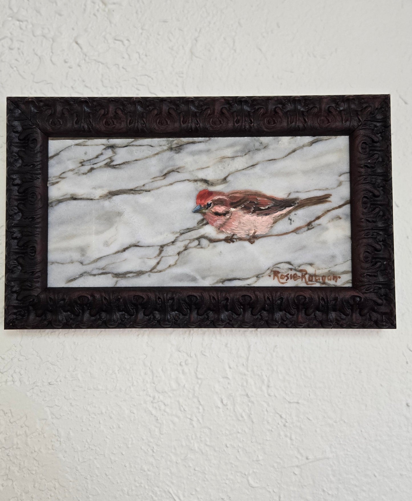Original Oil Painting Framed- "Another Nature's Beauty" Cassin's Finch