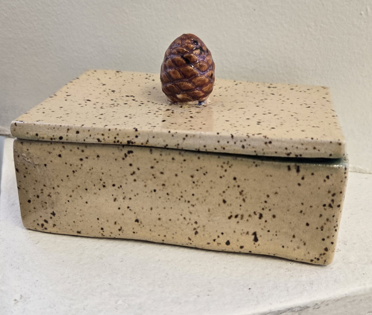 Trinket/Jewelry Box - Slab Built - Pine Cone