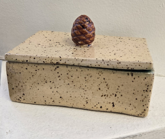 Trinket/Jewelry Box - Slab Built - Pine Cone