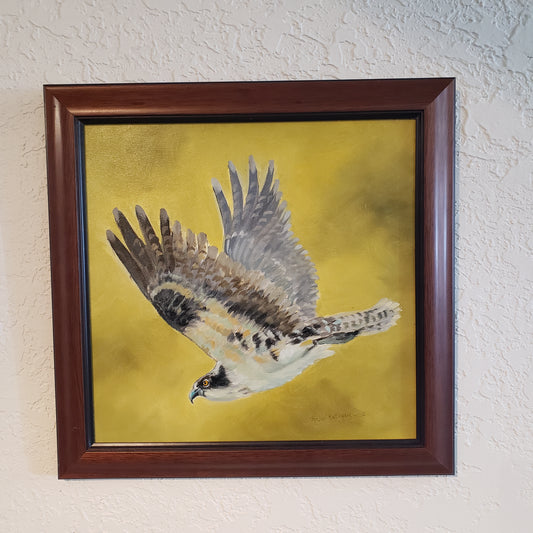 "Into The Wind" Osprey Study Original Oil Painting