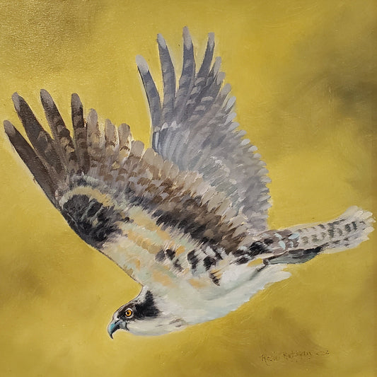 "Into The Wind" Osprey - Card