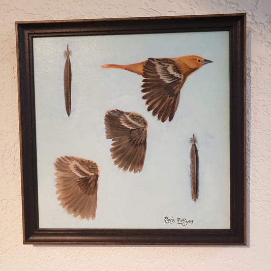 "Female Oriole Wing Molt" Original Oil Painting