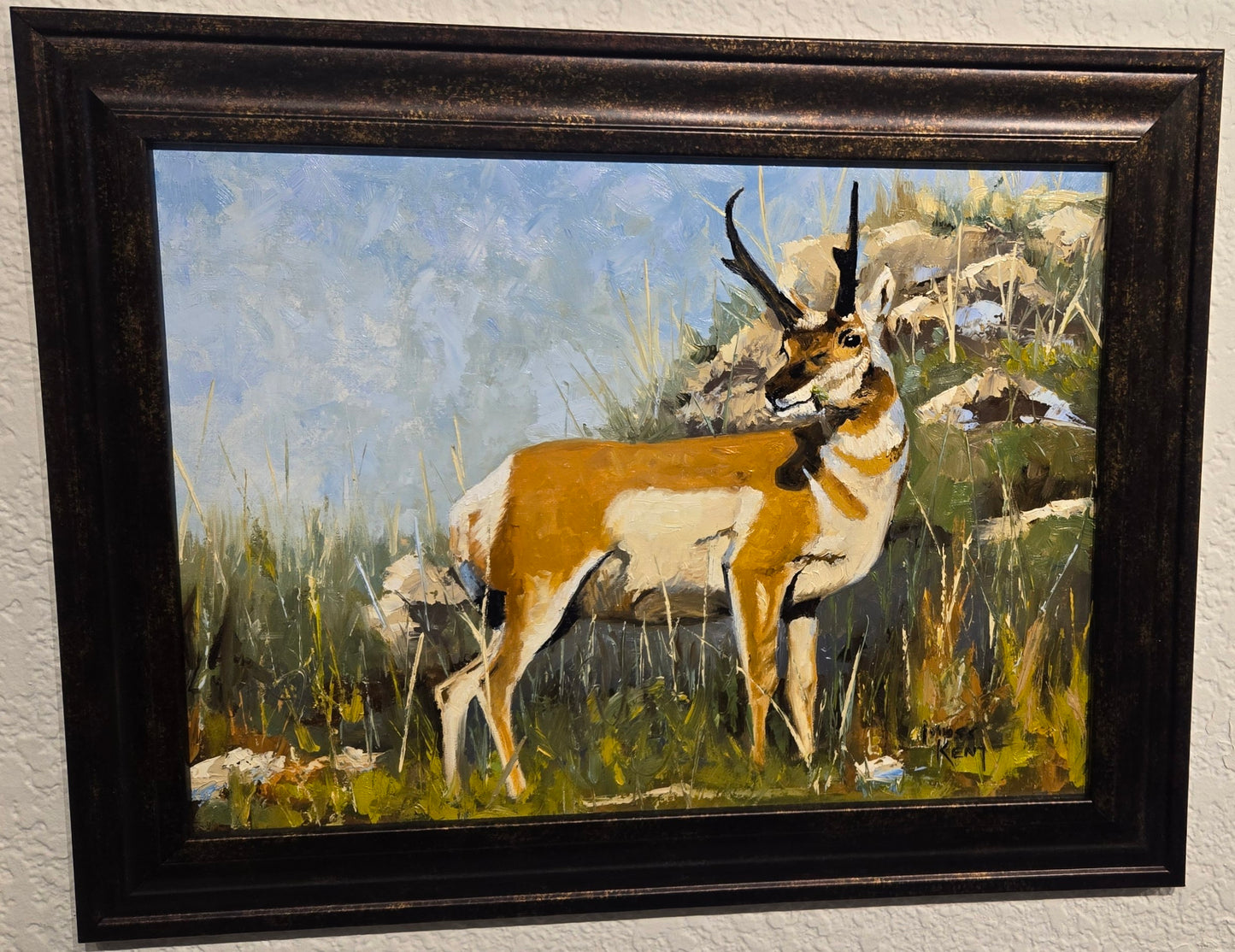 Original Framed Oil Painting- "Watchful" Pronghorn