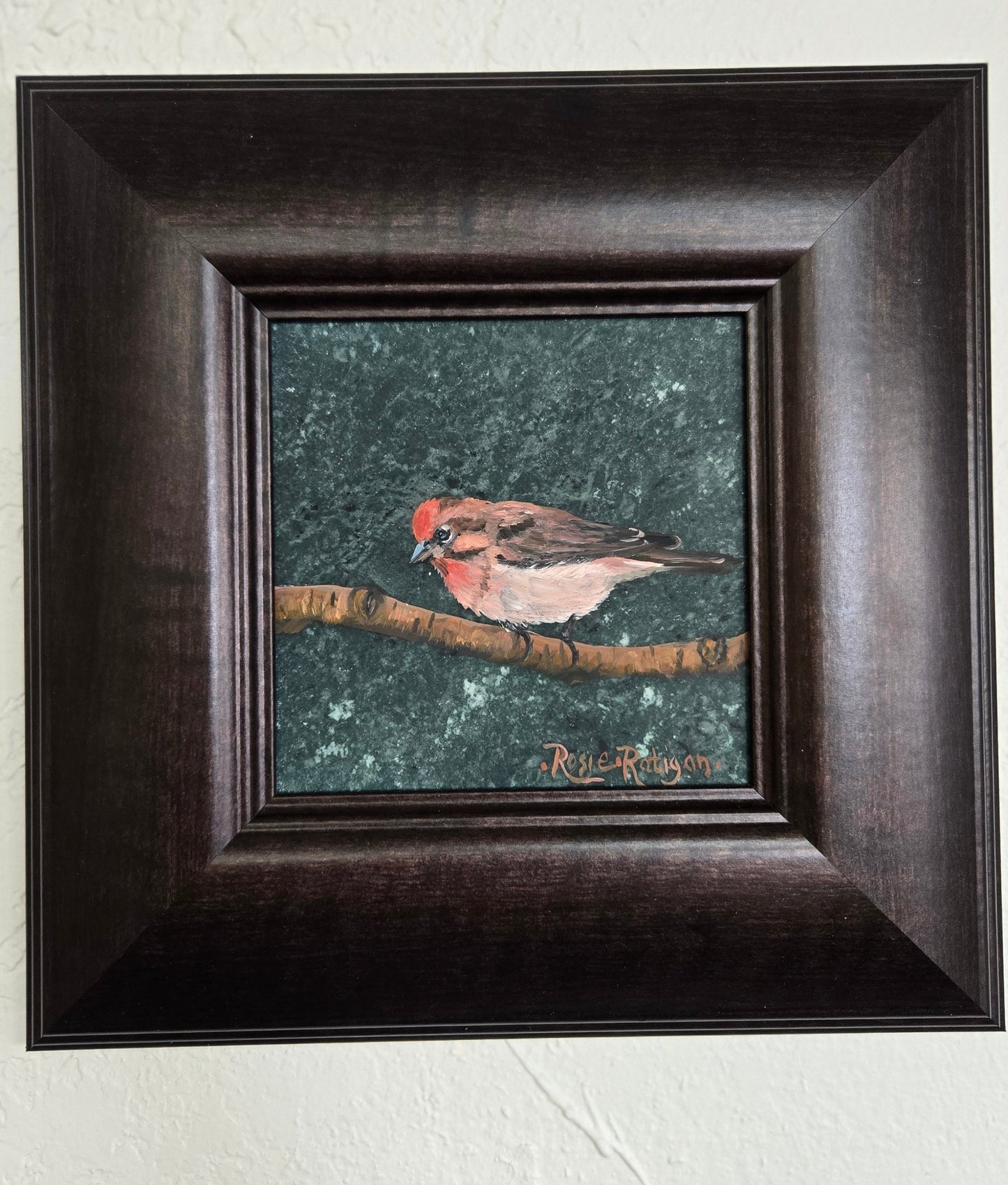 Original Oil Painting Framed- "Nature's Beauty" Cassin's Finch