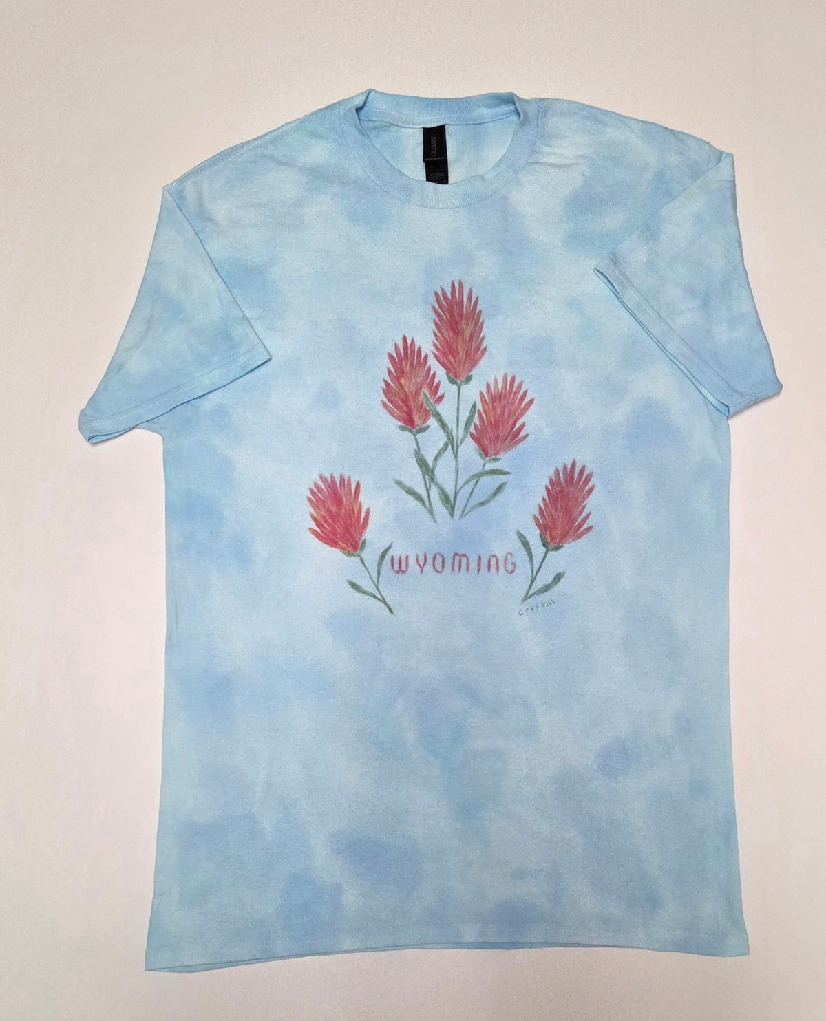 Tee Shirt  - "Wyoming" Indian Paintbrush Hand Dyed